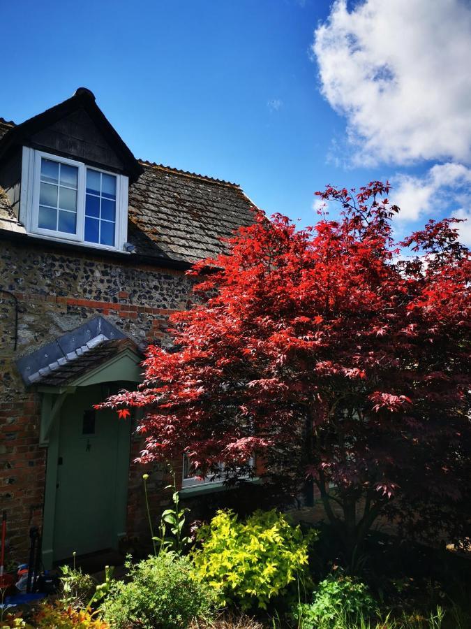 Historic, Traditional & Spacious Wiltshire Cottage Shrewton Bagian luar foto